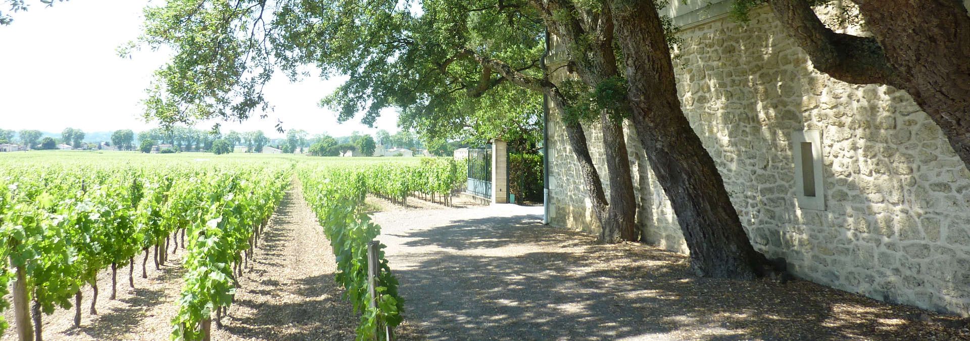 Chateau Chêne-Liège - Rue des Vignerons