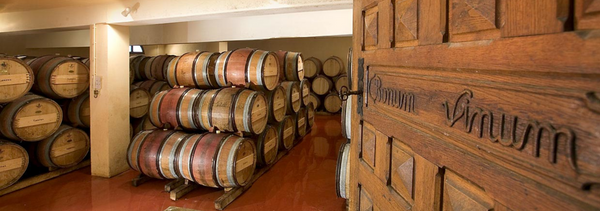 Découverte du Domaine et Dégustation-photo