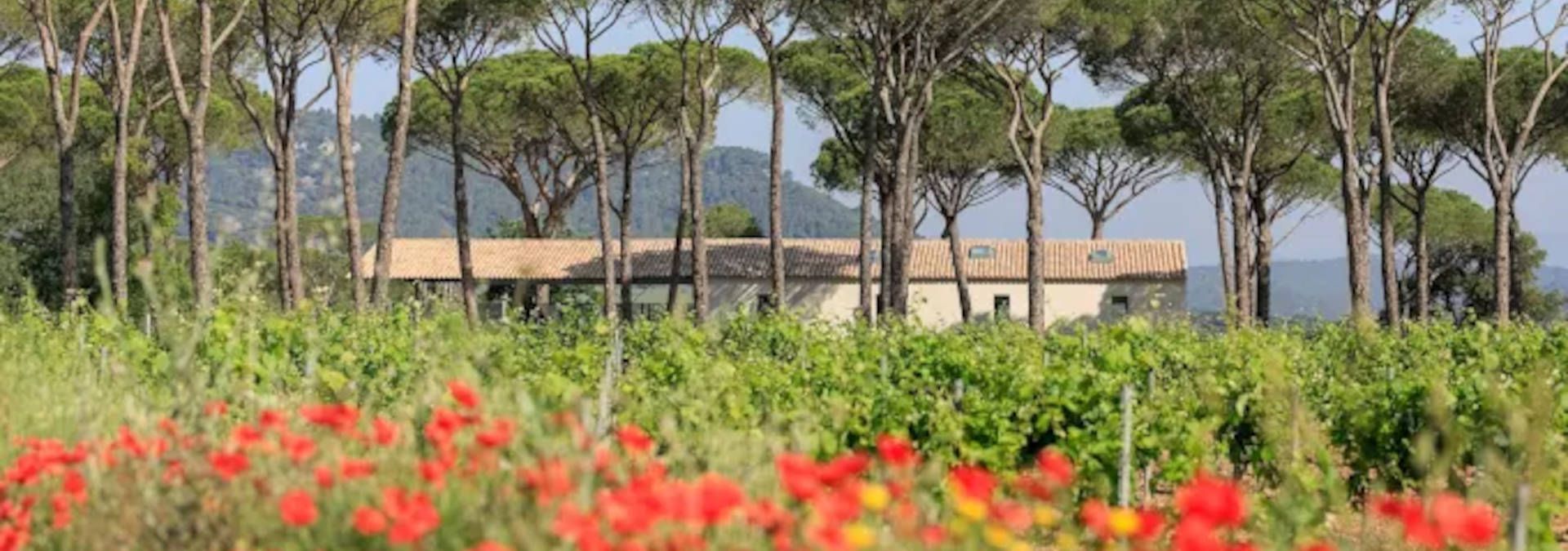 Domaine des Féraud - Rue des Vignerons