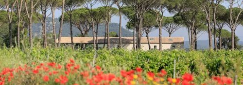 Domaine des Féraud photo