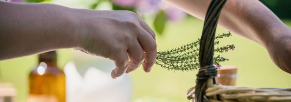 Wijn & infusie, een reis door de wereld van aroma's-photo