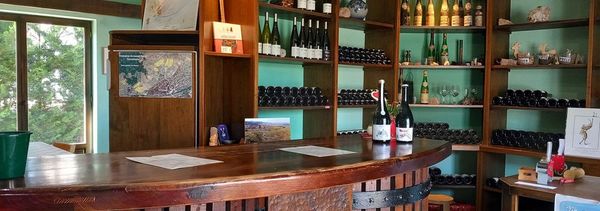 Dégustation des vins du terroir de Turckheim-photo