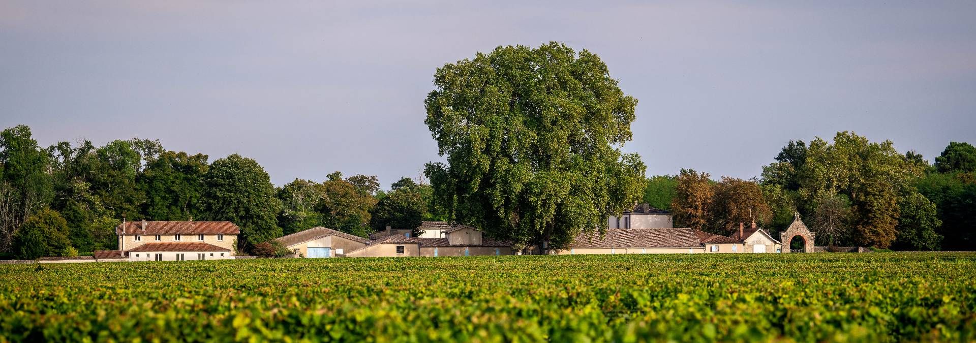 Château Bastor-Lamontagne - Rue des Vignerons