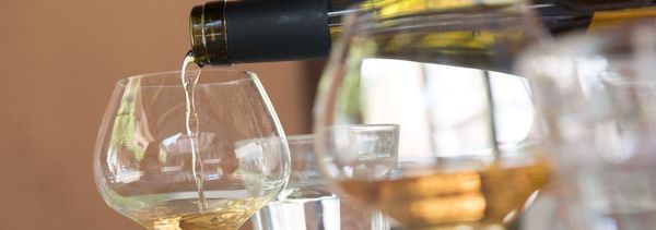 Dégustation découverte-photo