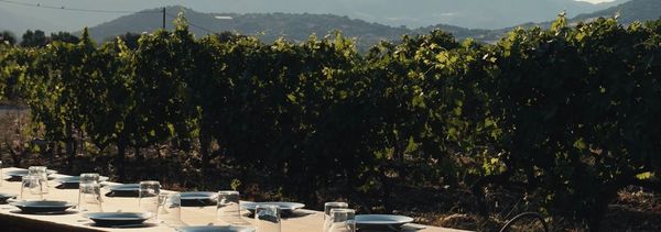 ‘A Parata’ wine-grower’s table-photo