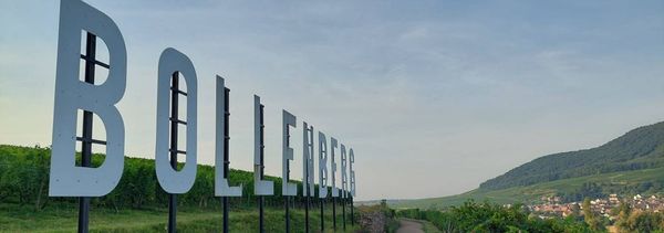 Entdeckung des Weinlehrpfads & Verkostung-photo