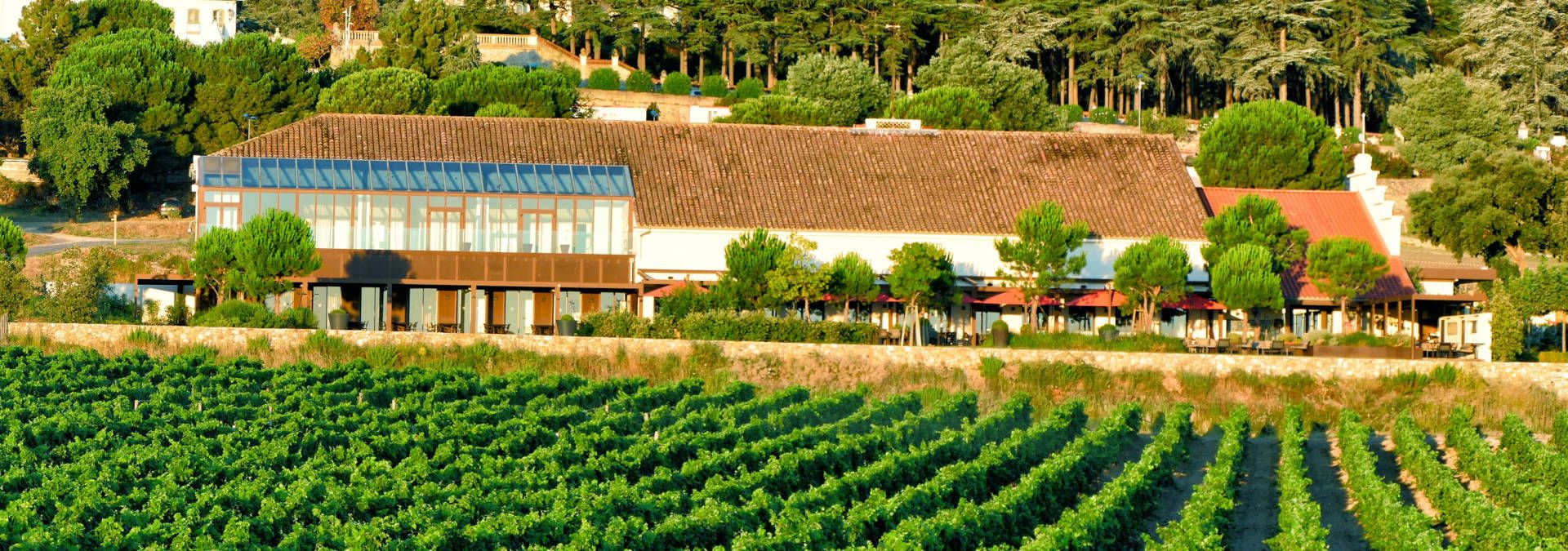 Château Valmy - Rue des Vignerons