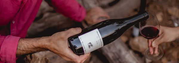 I vini rossi di La Maison Romane-photo