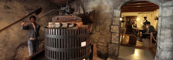 Free visit of the Clairette museum & agreement-photo