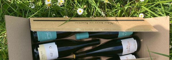 Dégustation de vins de Savennières-photo