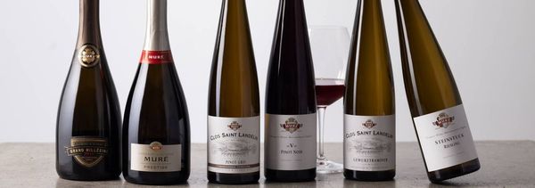 Discover the winery's wines-photo