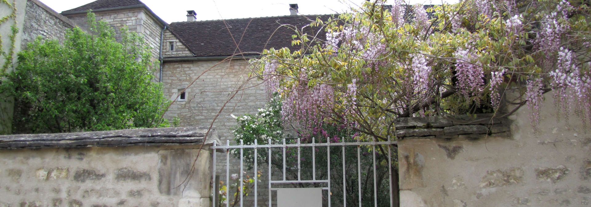 Domaine Testut - Rue des Vignerons