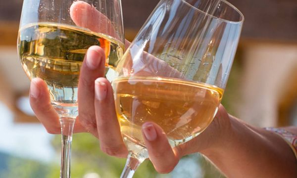 Kommentierte Verkostung von 5 biodynamischen Cuvées-photo