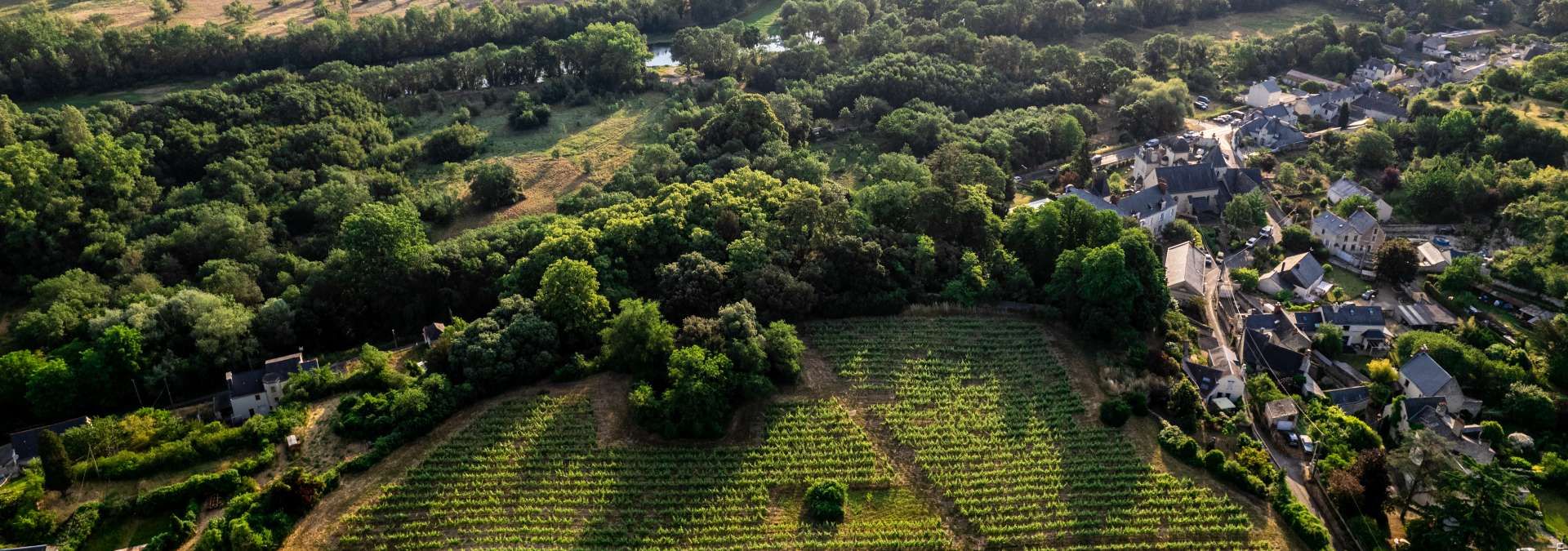 Domaine des Roches Neuves - Rue des Vignerons