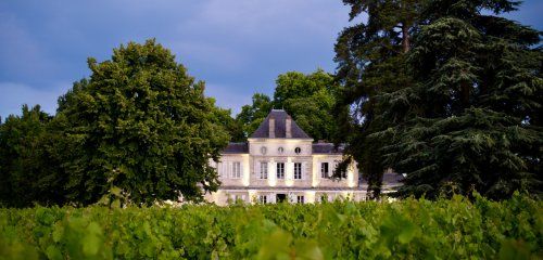 Château Haut Nouchet photo