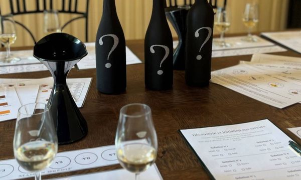 Initiation à la dégustation-photo