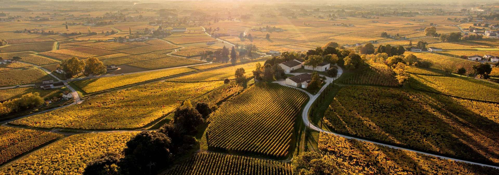 Château Quintus - Rue des Vignerons