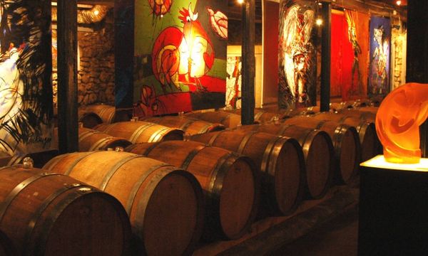 Un viaje para descubrir nuestros vinos-photo