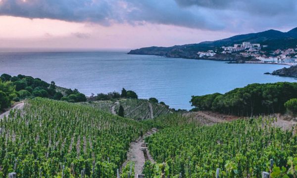 De regio Banyulenc ontdekken-photo