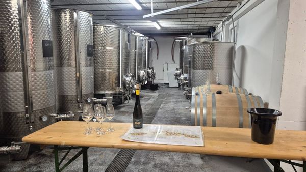 Signature wine tasting – discovering the winery-photo