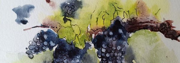 Watercolours & wine tasting-photo
