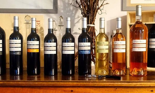 Discover our range of wines-photo