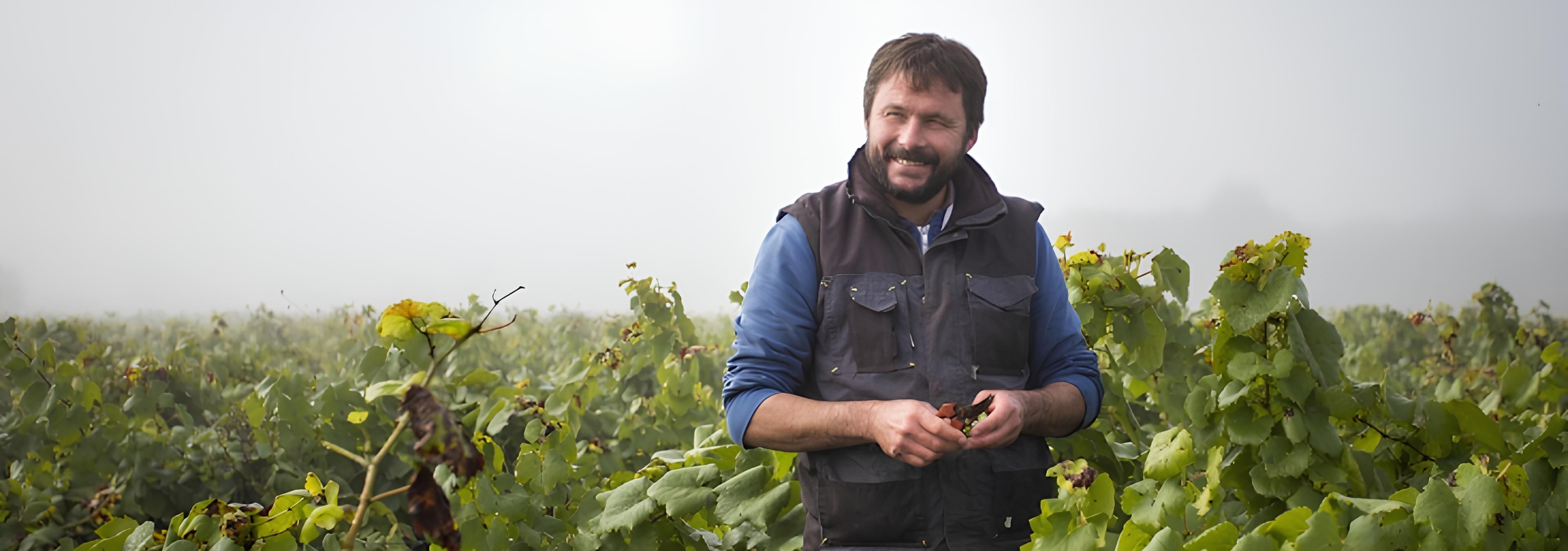 Domaine Bregeon - Rue des Vignerons