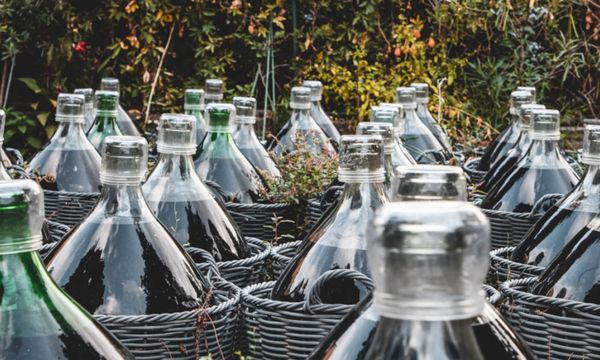 Production of Collioure and Banyuls wines-photo