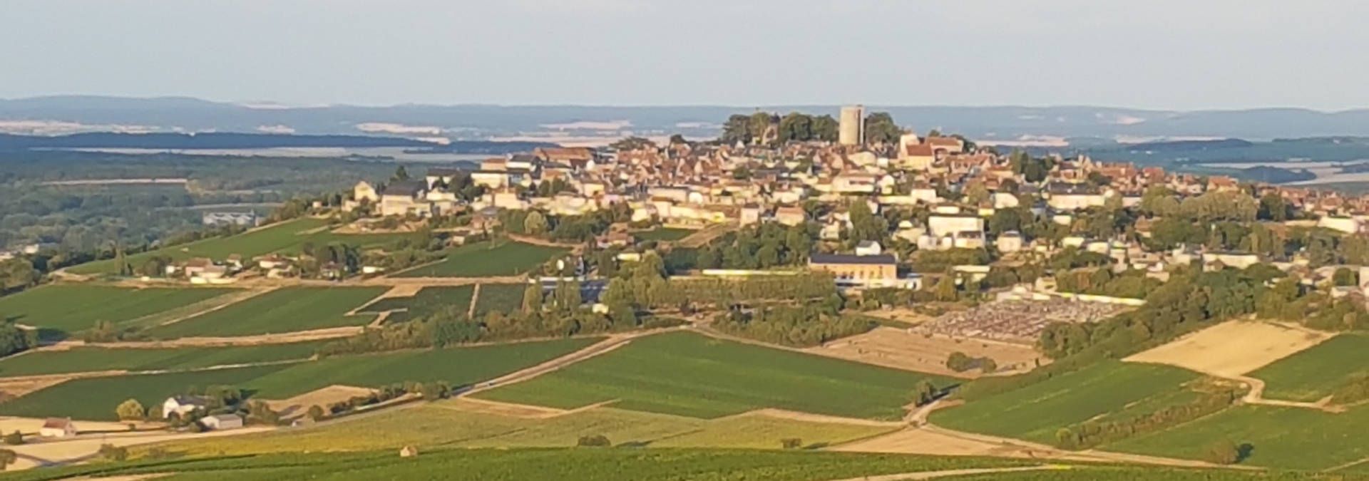 Domaine Franck Millet - Rue des Vignerons