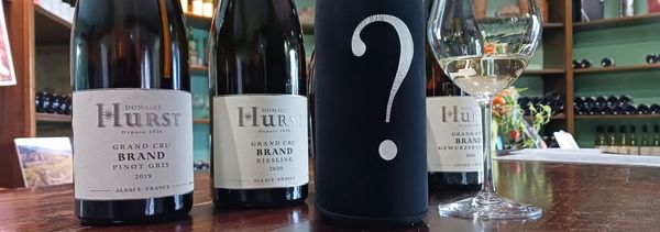 Introducción a la cata de vinos de Alsacia-photo