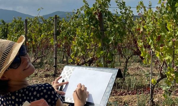 Vineyard outing with painting workshop-photo