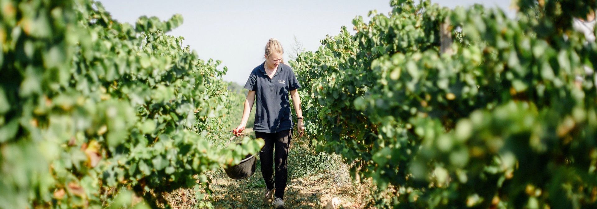 Clos du Caillou - Rue des Vignerons