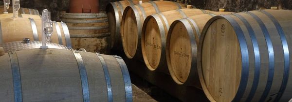 Découverte du chai et des Savennières du Château-photo