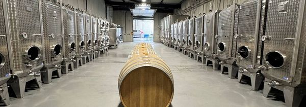 Descubrir la bodega y los vinos de la finca-photo