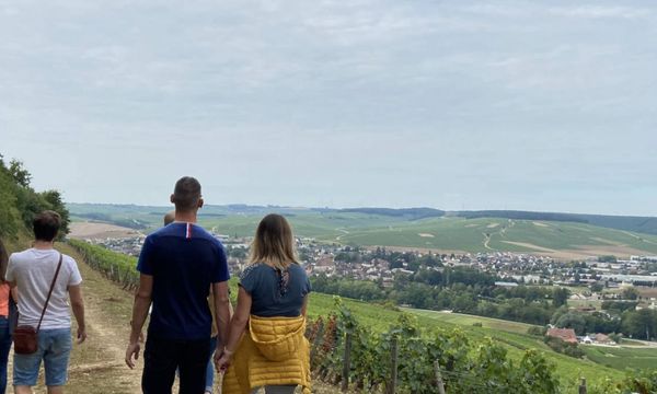 Balade des Grands Crus et dégustation-photo