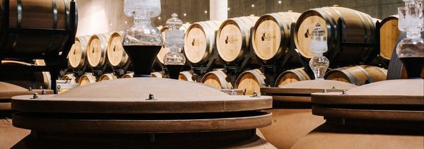 Visit the cellar and taste the range-photo