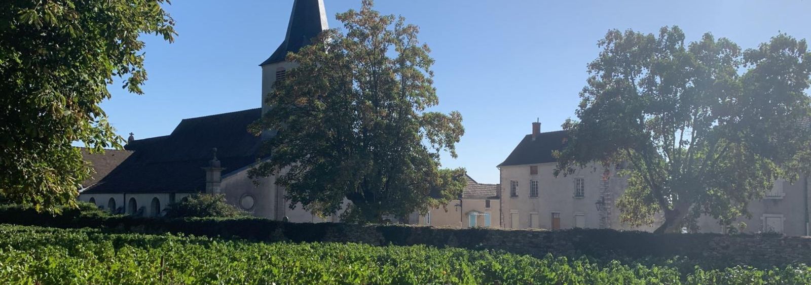 Les Héritiers Saint-Genys - Rue des Vignerons