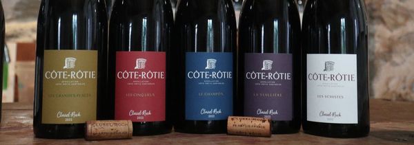 Dégustation des vins du domaine-photo