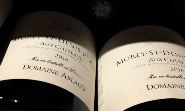 Prestige Tasting-photo