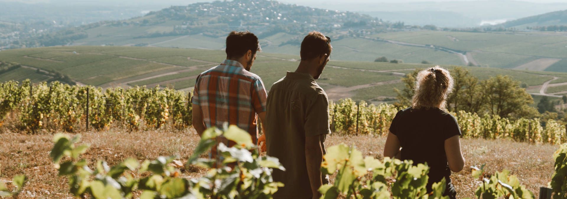 Domaine Hubert Brochard - Rue des Vignerons