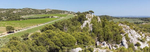 Private day trip to Les Baux-de-Provence-photo