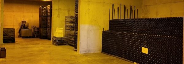 Besichtigung und Verkostung von 3 Cuvées-photo