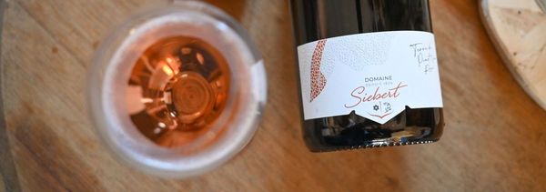 Dégustation Crémants d'Alsace parcellaires-photo