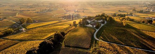 Château Quintus photo