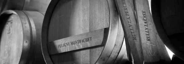 Les Absolus 6 vins-photo