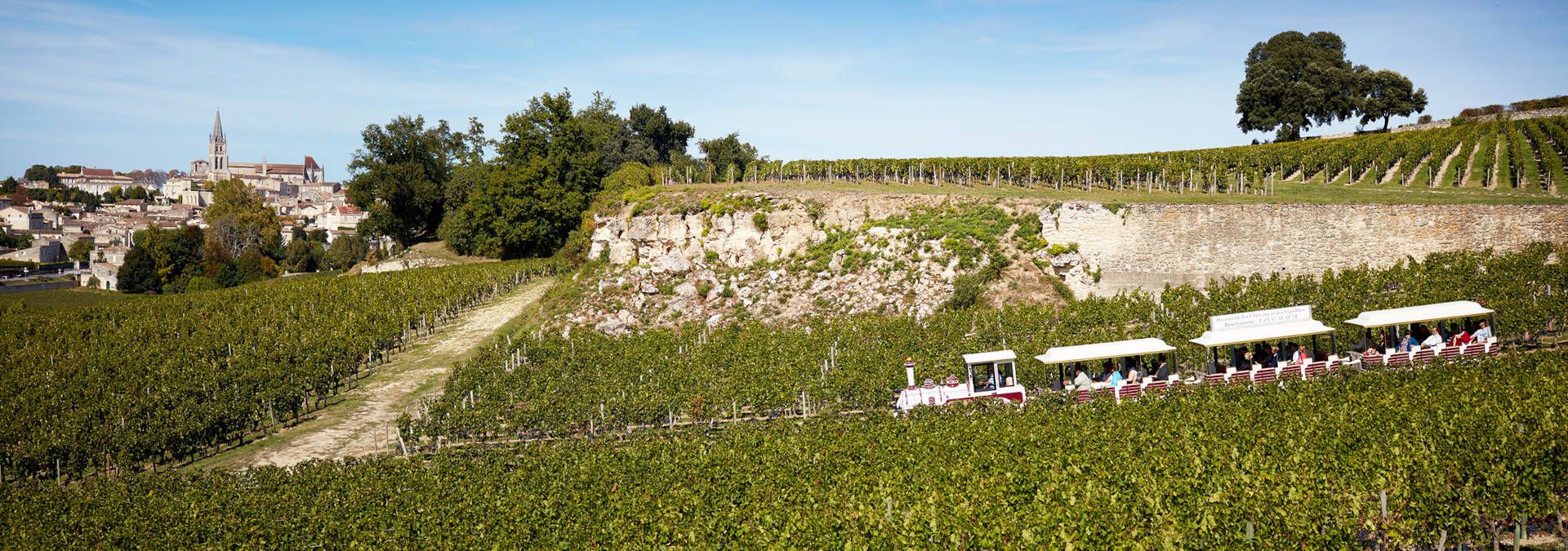 The great vineyards train
