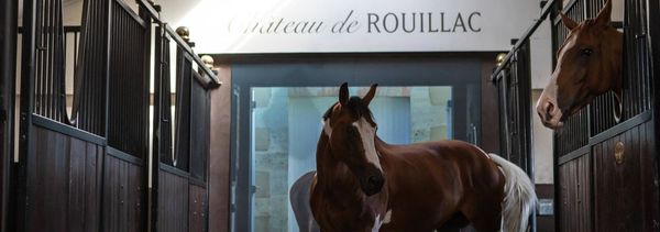 Dadaic Visit and Tasting-photo