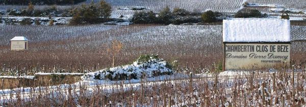 Jornada de degustación en Borgoña-photo