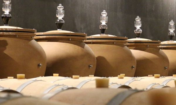 Degustación de autor-photo