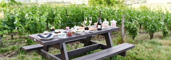 Picnic al tavolo del vigneto-photo
